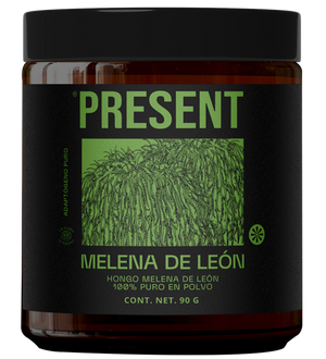 Imagen ilustrativa de MELENA DE LEÓN