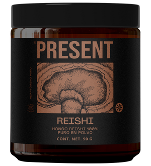 Imagen ilustrativa de REISHI
